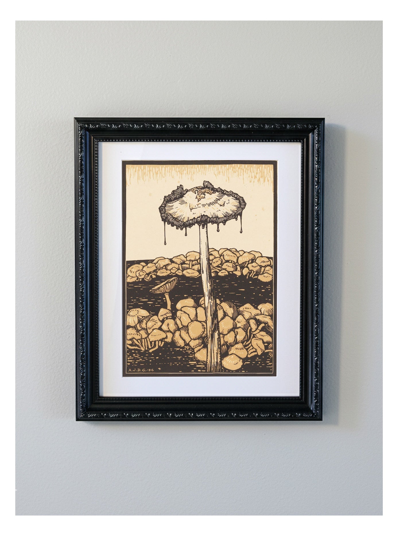 Julie de Graag Mushroom Decorative Framed Print - 1916 Fungi Woodcut
