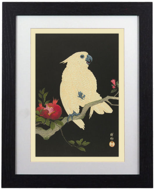 Elegant Framed Bird Art Prints - 14" x 11"