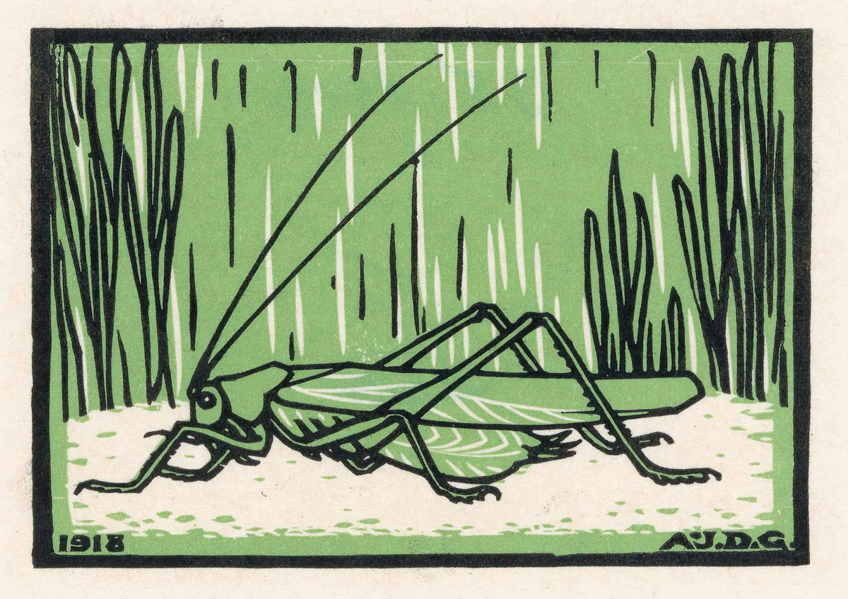 Julie de Graag Grasshopper Vintage Woodcut Art Print Green