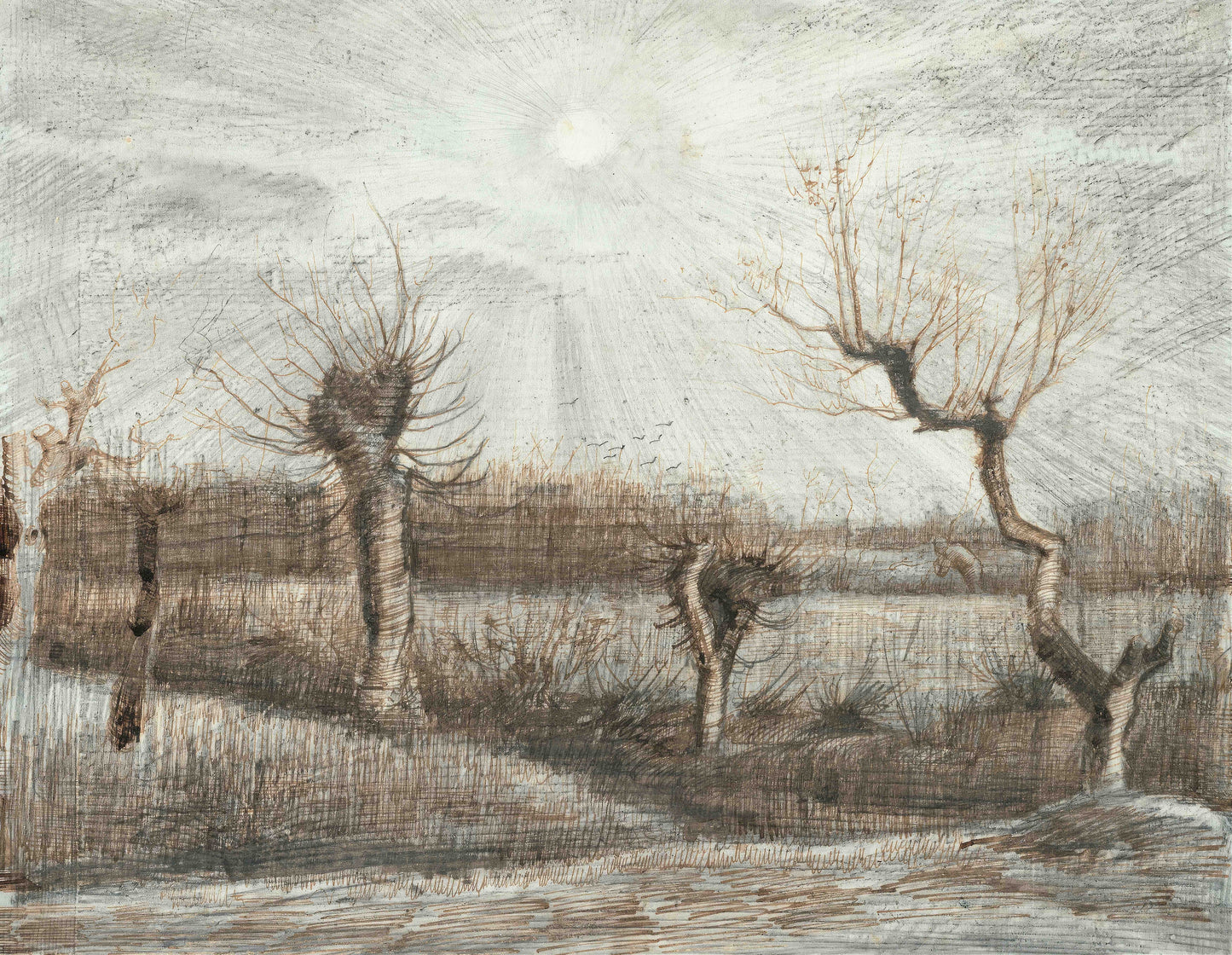 Van Gogh Pollard Birches