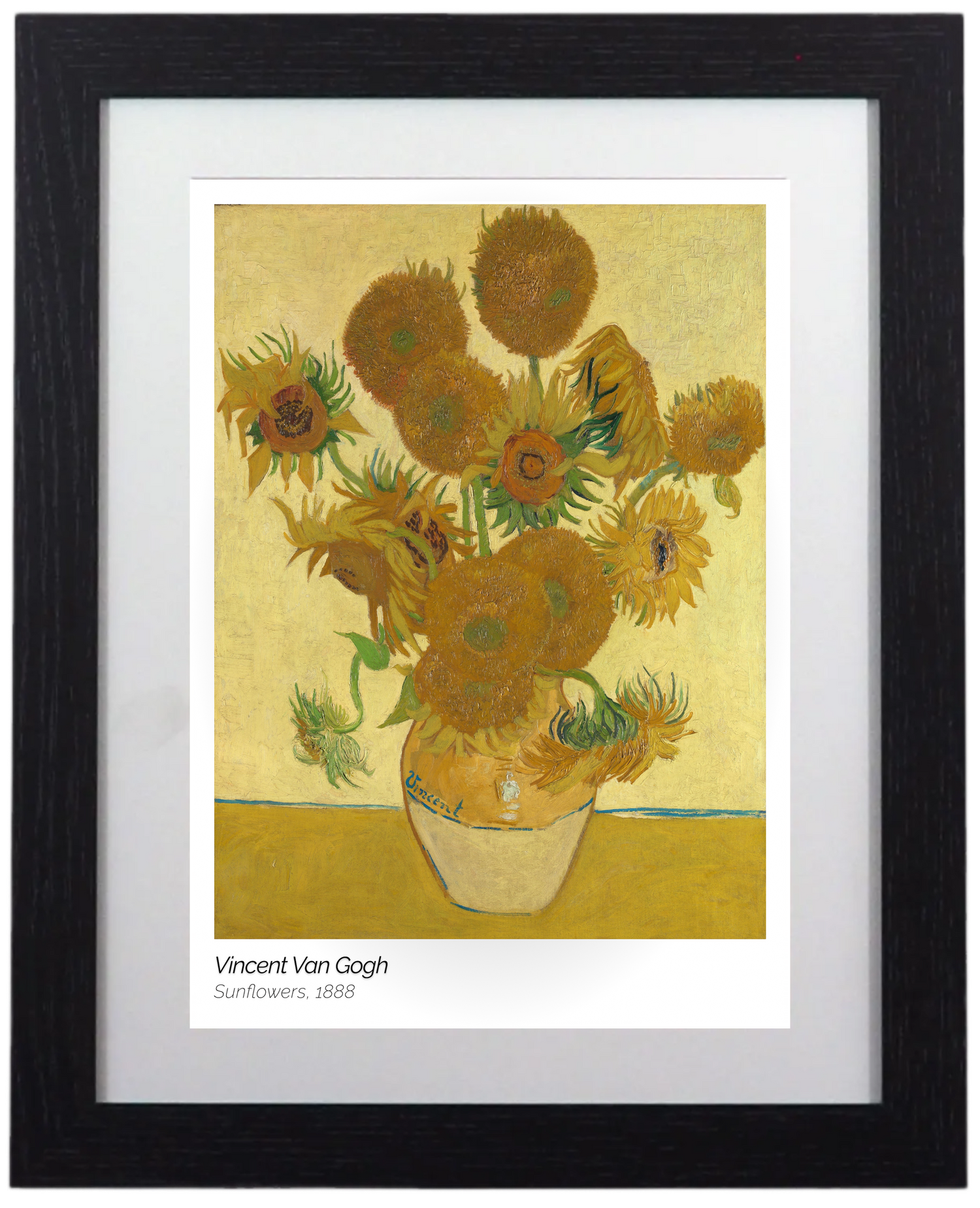 Essentials Collection