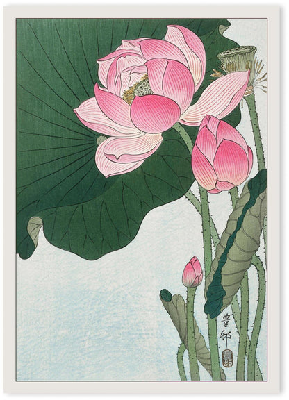 Ohara Koson Japanese Woodblock Print | Vintage Bird and Flower Wall Art Poster | Premium Framed Shin-hanga
