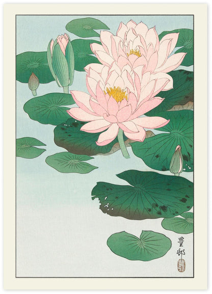 Ohara Koson Japanese Woodblock Print | Vintage Bird and Flower Wall Art Poster | Premium Framed Shin-hanga