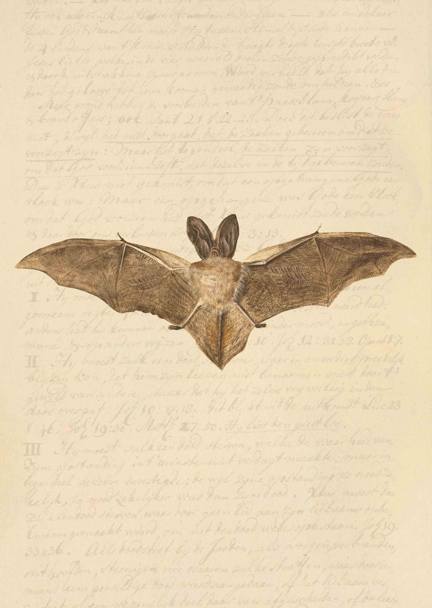 Bats in Flight – Dark Academia Print