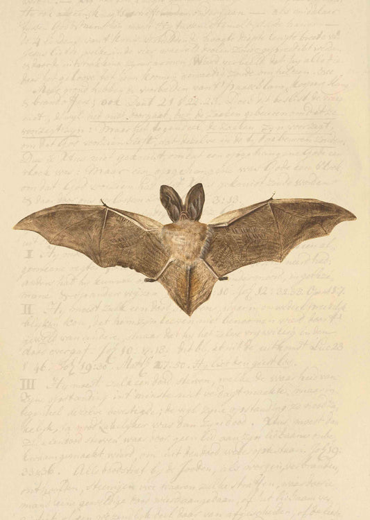 Bats in Flight – Dark Academia Print