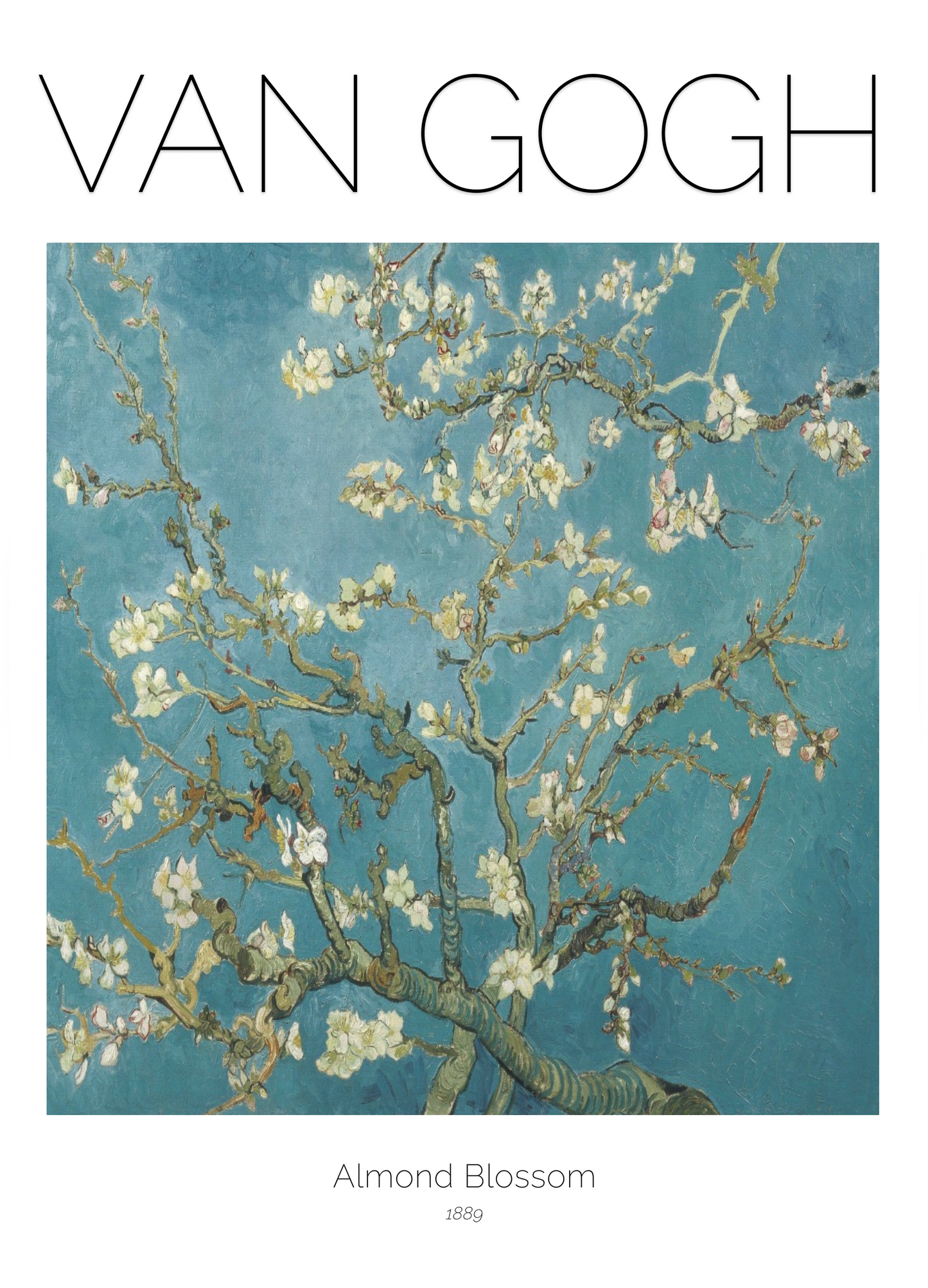 Van Gogh's, Blossoming Acacias