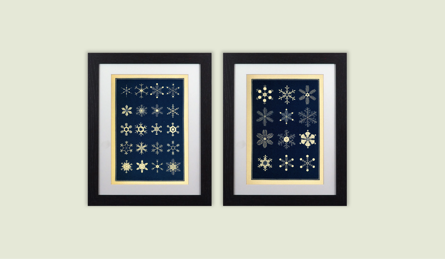 Set of 2 Framed Snowflake Prints