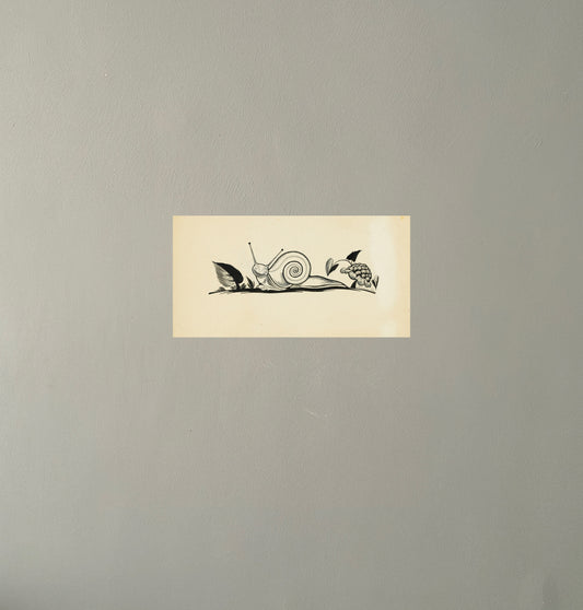 Thomas Bewick The Snail Woodcut