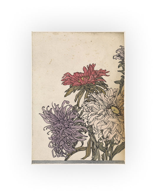 Julie de Graag Aster Flowers Print - Red & Purple Floral Woodcut Art, Vintage Botanical Wall Decor, Art Nouveau Flower Illustration
