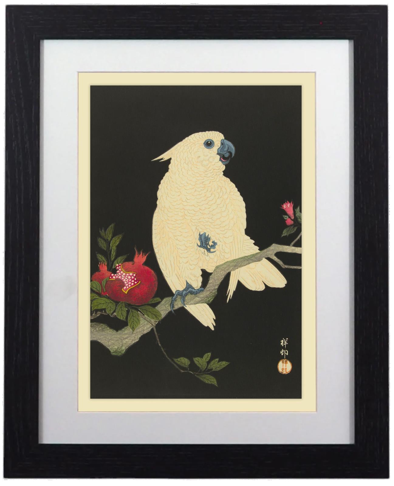 Elegant Framed Bird Art Prints - 14" x 11"
