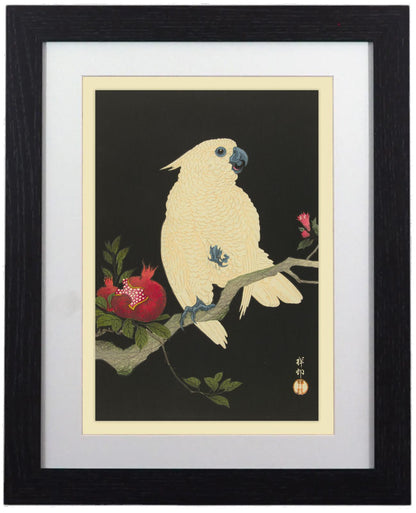 Elegant Framed Bird Art Prints - 14" x 11"