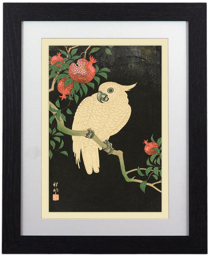 Elegant Framed Bird Art Prints - 14" x 11"