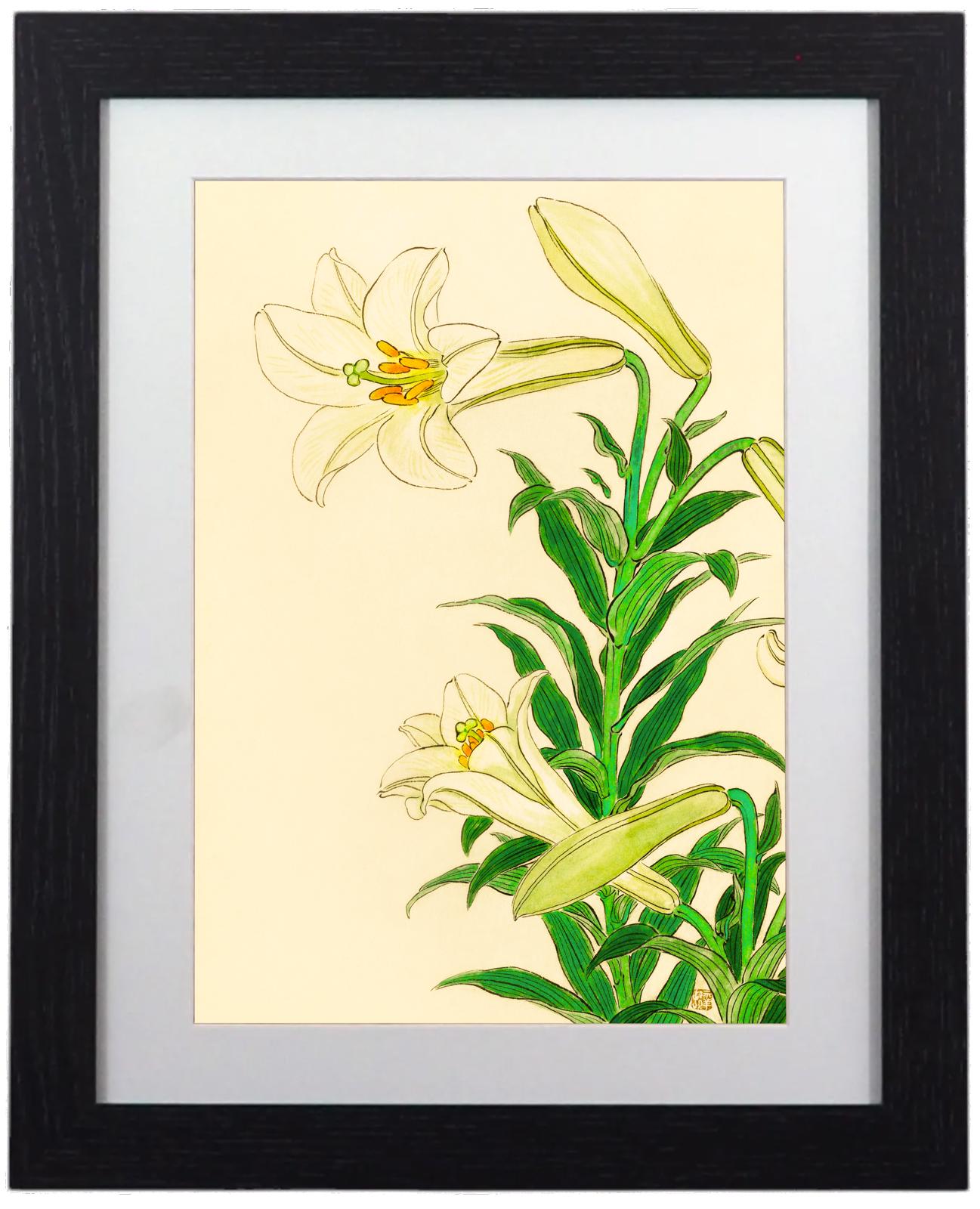 Ohara Koson Elegant White Lilies