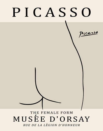 Picasso Bottom Sketch