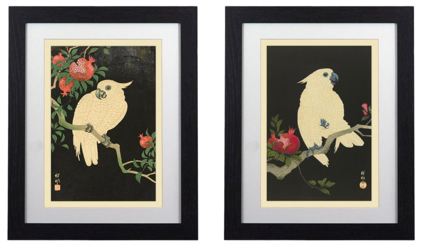Elegant Framed Bird Art Prints - 14" x 11"