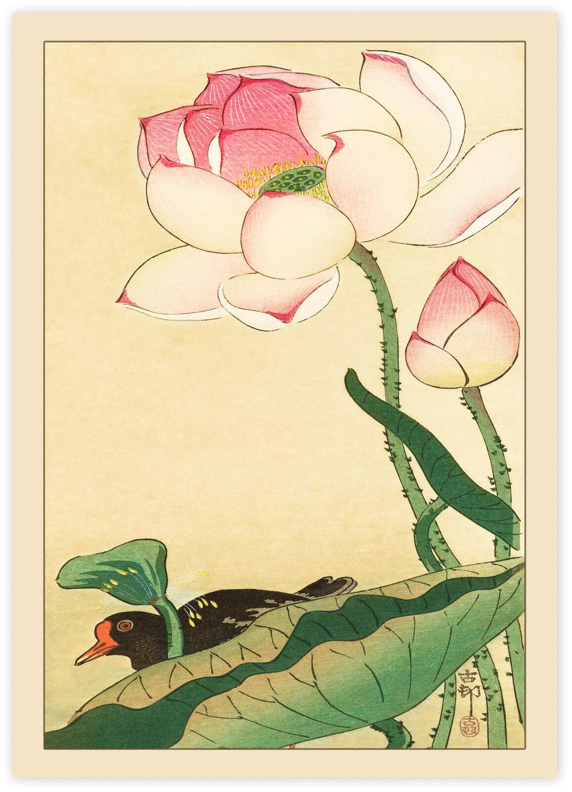 Ohara Koson Japanese Woodblock Print | Vintage Bird and Flower Wall Art Poster | Premium Framed Shin-hanga