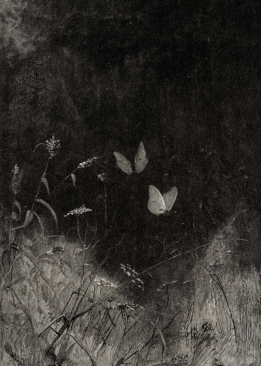 Vintage Butterfly in Long Grass Dark Botanical Print