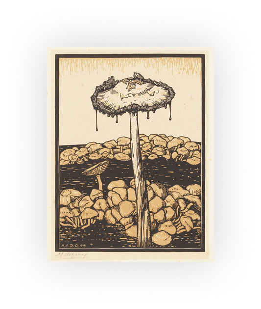 Julie de Graag Mushroom Print - 1916 Fungi Woodcut