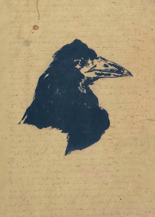 The Midnight Raven Solo Bird Illustration